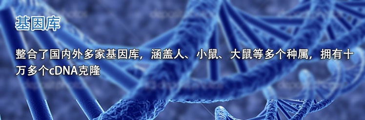 整合了國(guó)內(nèi)外多家基因庫(kù)，涵蓋人、小鼠、大鼠等多個(gè)種屬，擁有十萬(wàn)多個(gè)cDNA克隆