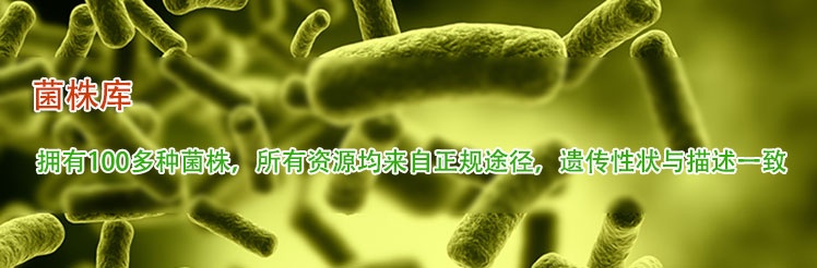 擁有100多種菌株，所有資源均來(lái)自正規(guī)途徑，遺傳性狀與描述一致